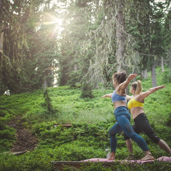 Forest Wellness & Yoga