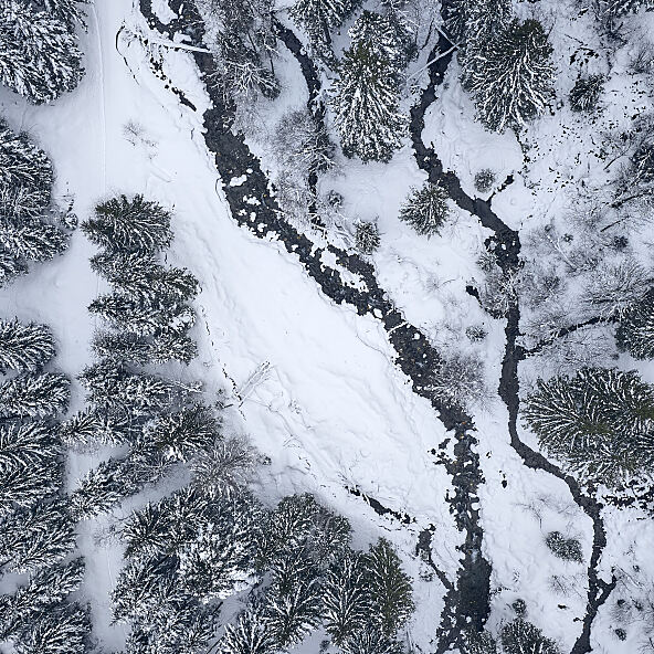 Tagesaktueller Content der letzten 7 Tage