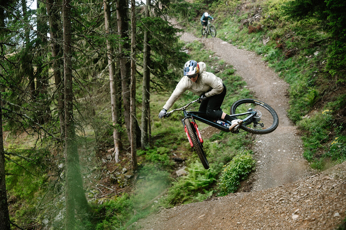 Bearly Legal-Line Opening 