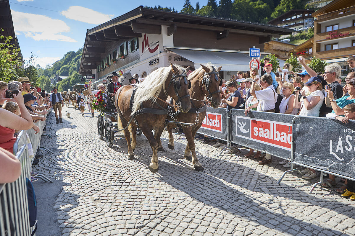 Hinterglemmer Bauernmarkt 