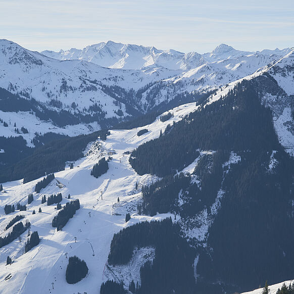 Daily Content from the last 7 days