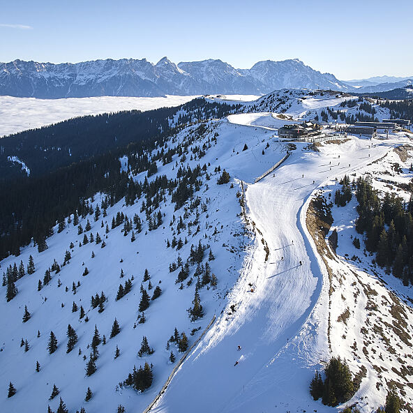 Daily Content from the last 7 days